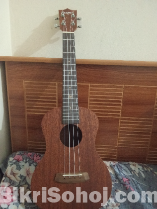 Ukulele